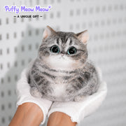 ☁️ CatMallow – Chat en Peluche aux Grands Yeux (Tabby Gris) ☁️
