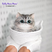 ☁️ CatMallow – Chat en Peluche aux Grands Yeux (Tabby Gris) ☁️