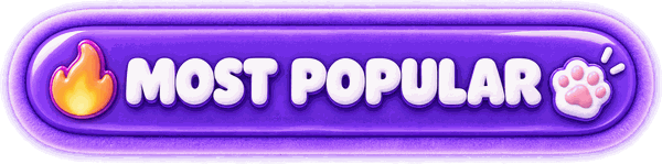 Pack le plus populaire